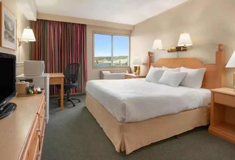 ホテル Quality Inn & Suites