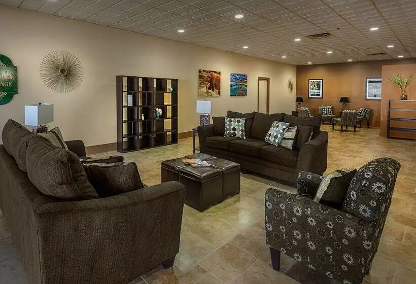 ホテル Quality Inn & Suites