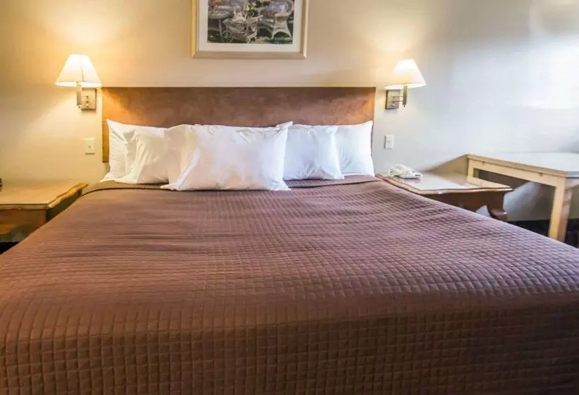 فندق Rodeway Inn