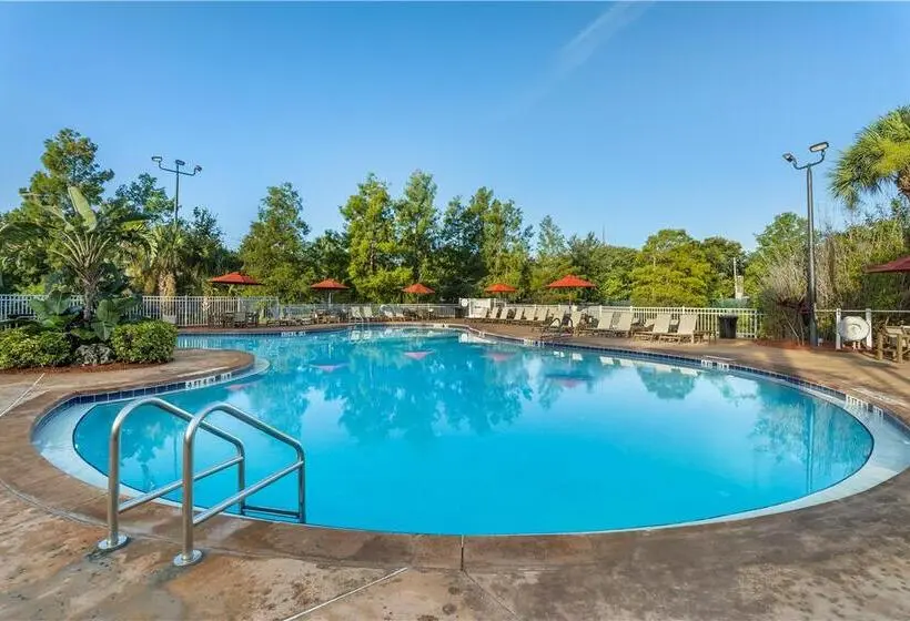 リゾートホテル Hilton Vacation Club Grand Beach Orlando