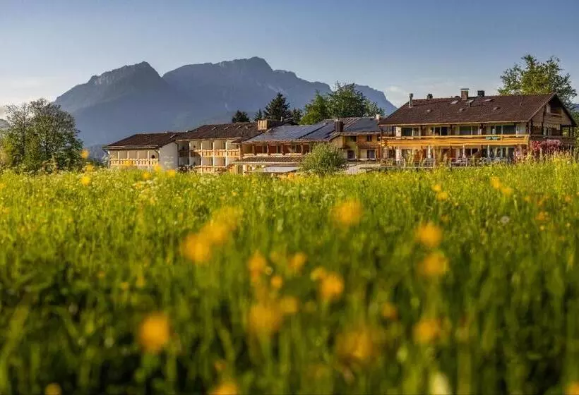 Alm  & Wellnesshotel Alpenhof