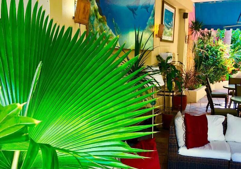 هتل Casa Del Caribe Inn