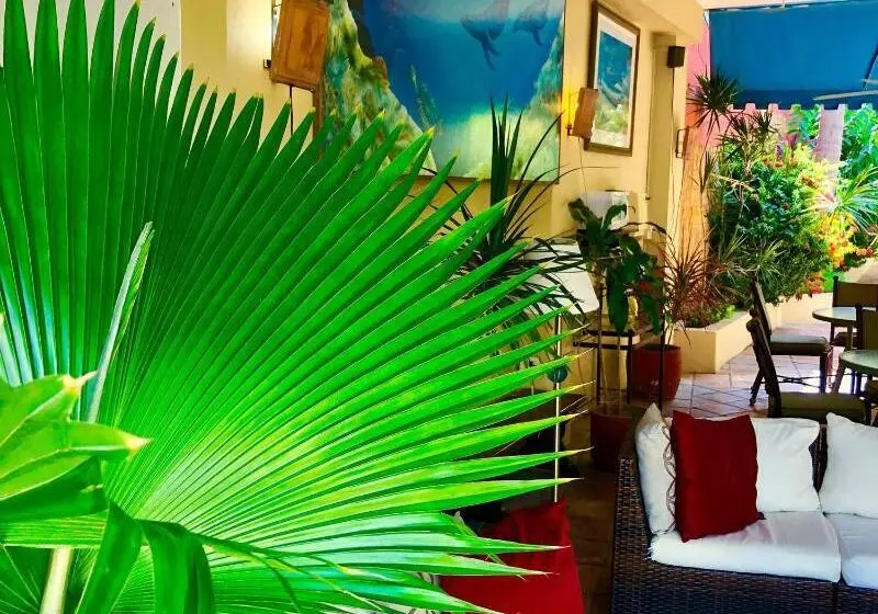 هتل Casa Del Caribe Inn