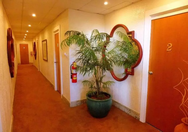 هتل Casa Del Caribe Inn