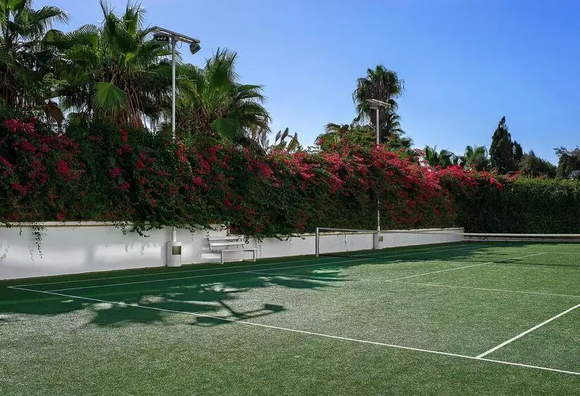 ホテル Grecian Sands