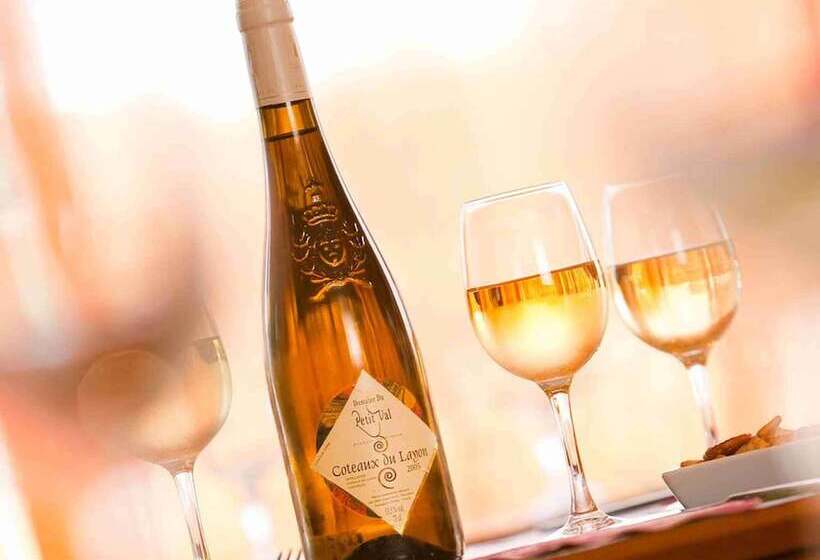 Hotel Ibis Styles Orleans