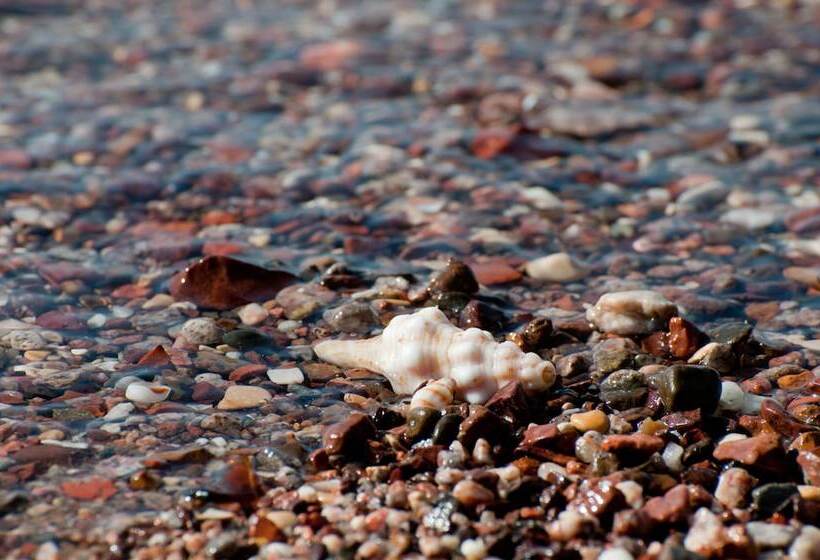 Leonardo Plaza Hotel Eilat