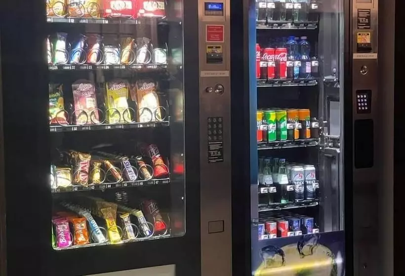 בית מלון כפרי Regina