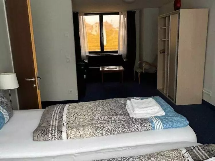 בית מלון כפרי Regina