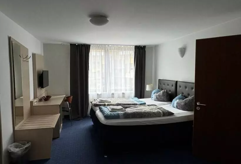 בית מלון כפרי Regina