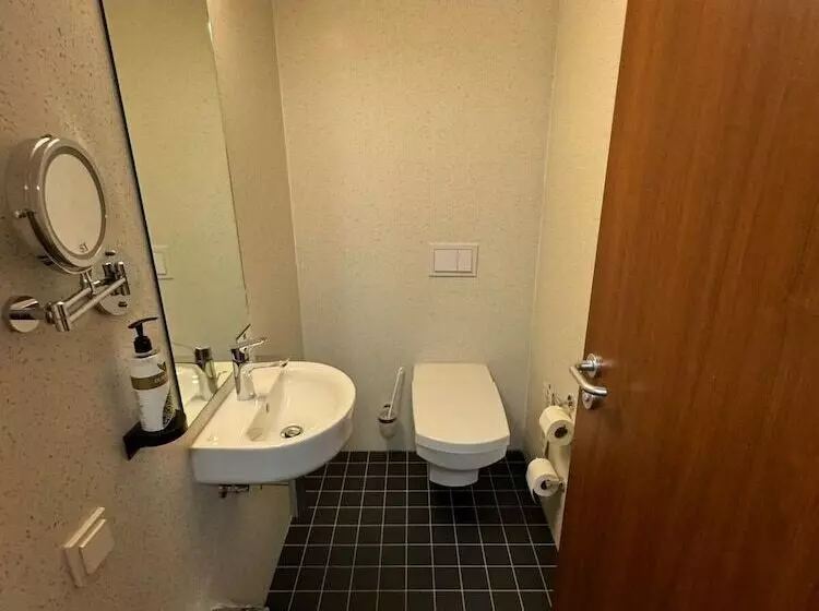 בית מלון כפרי Regina