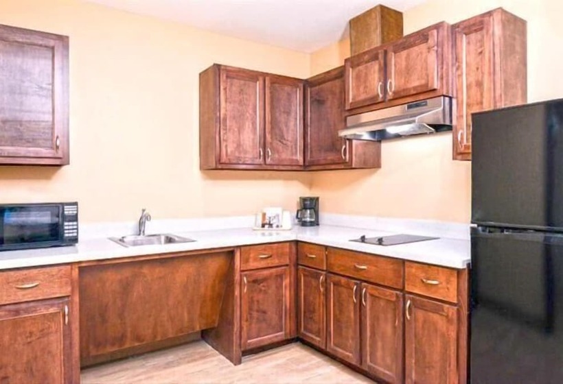 ホテル Americas Best Value Inn Near Nrg Park/medical Center