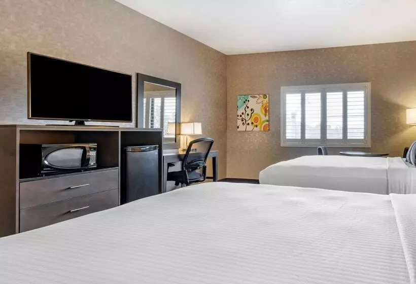 هتل Best Western Plus Park Place Inn Mini Suites