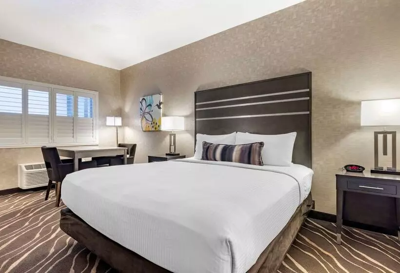 هتل Best Western Plus Park Place Inn Mini Suites