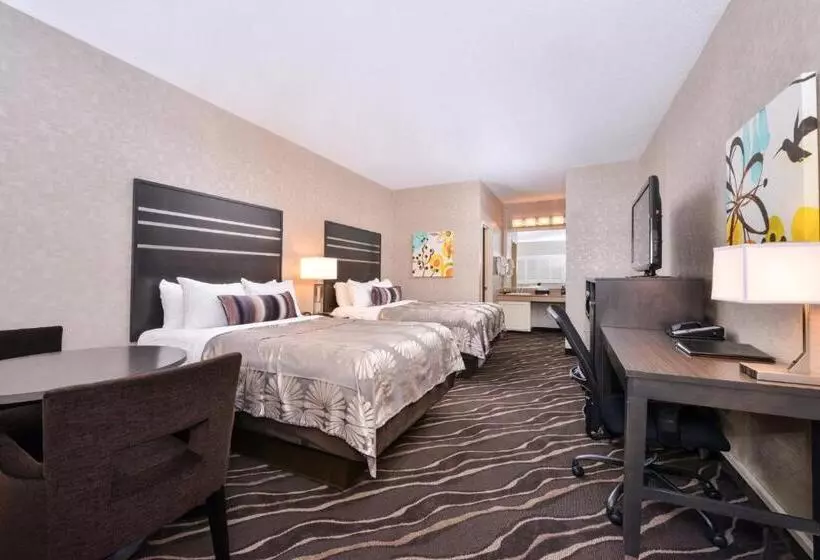 هتل Best Western Plus Park Place Inn Mini Suites