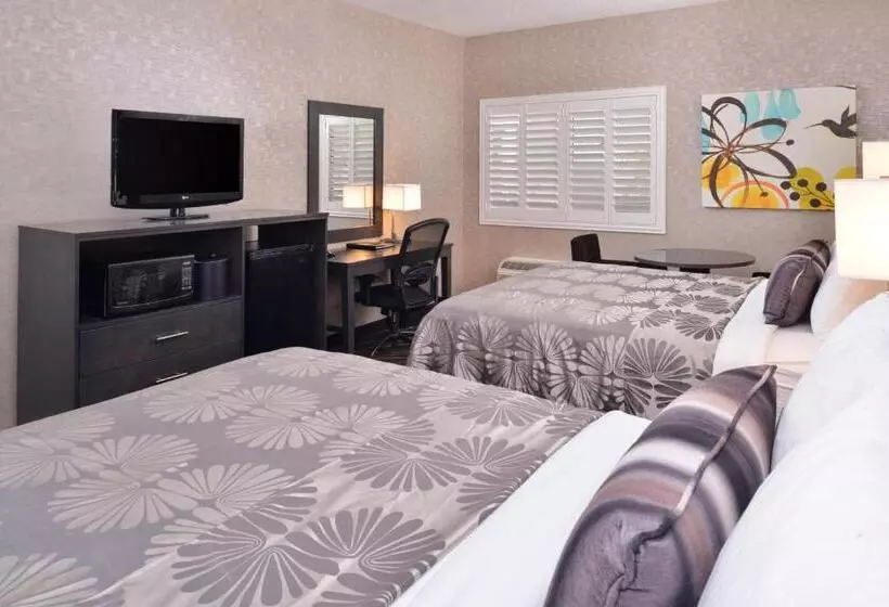 هتل Best Western Plus Park Place Inn Mini Suites