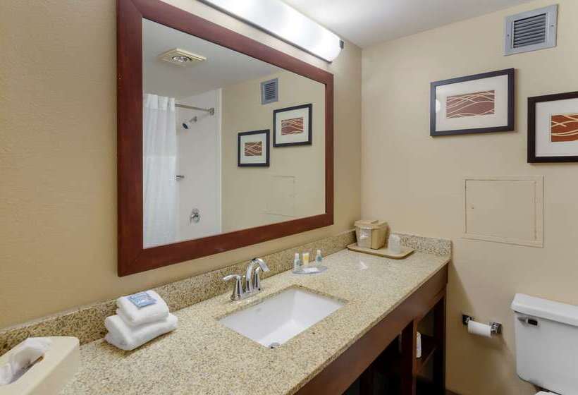 فندق Comfort Inn Blacksburg University Area