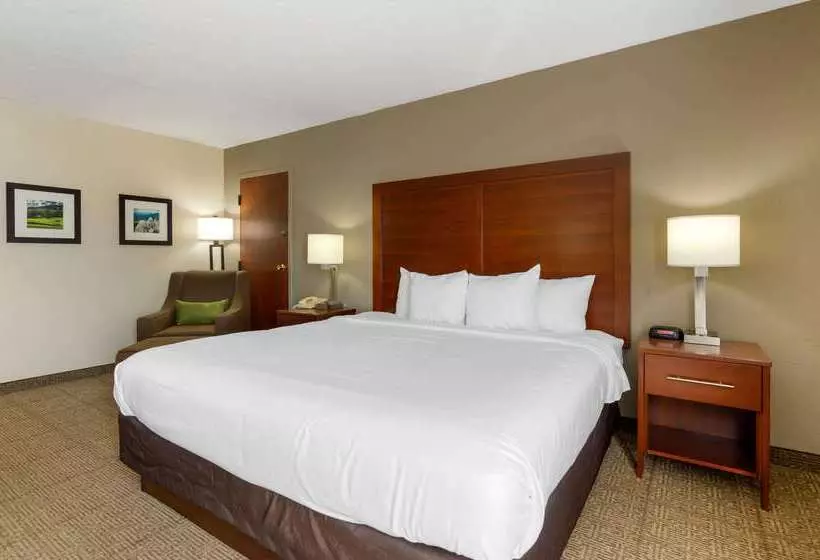 ホテル Comfort Inn Blacksburg University Area