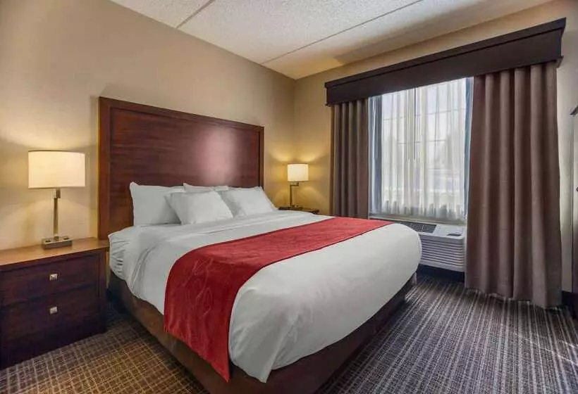 Отель Comfort Suites