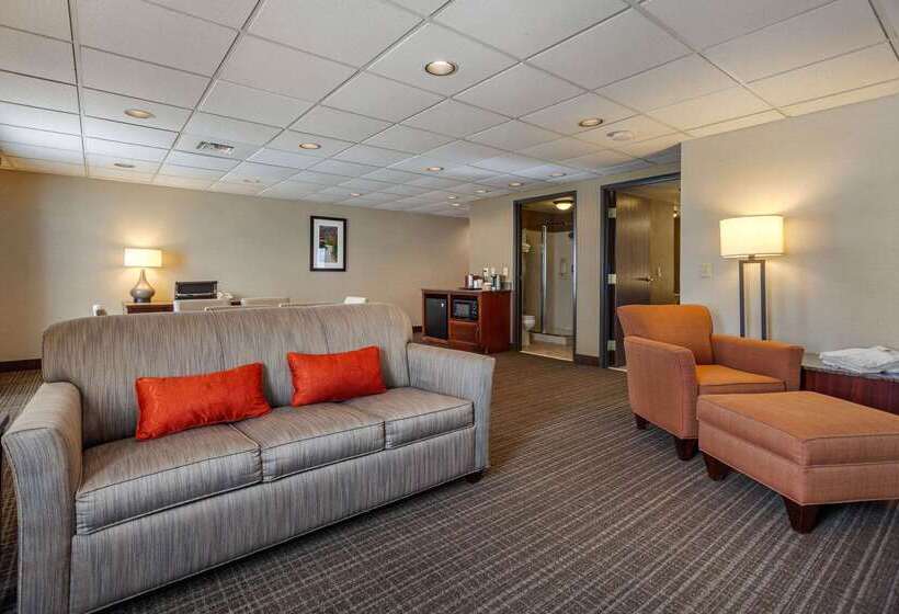 فندق Comfort Suites