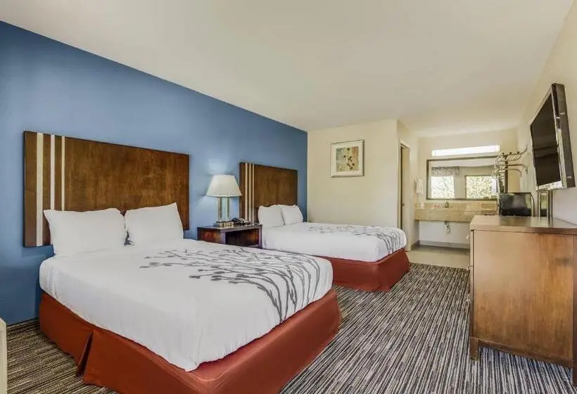 ホテル Econo Lodge Inn & Suites