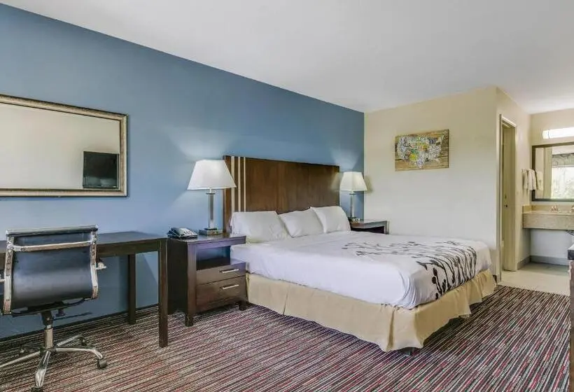 ホテル Econo Lodge Inn & Suites