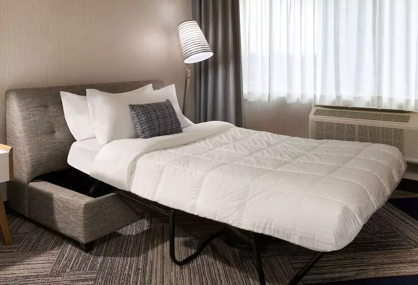 酒店 Four Points By Sheraton Windsor Downtown