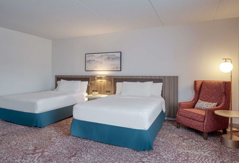 هتل Hilton Garden Inn Clarksburg Bridgeport