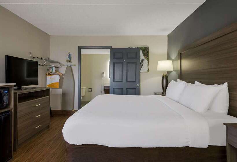 ホテル Quality Inn Asheville Airport