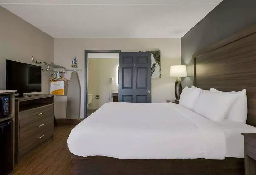 酒店 Quality Inn Asheville Airport