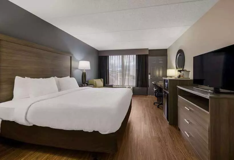 酒店 Quality Inn Asheville Airport