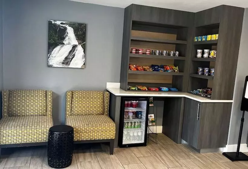 酒店 Quality Inn Asheville Airport