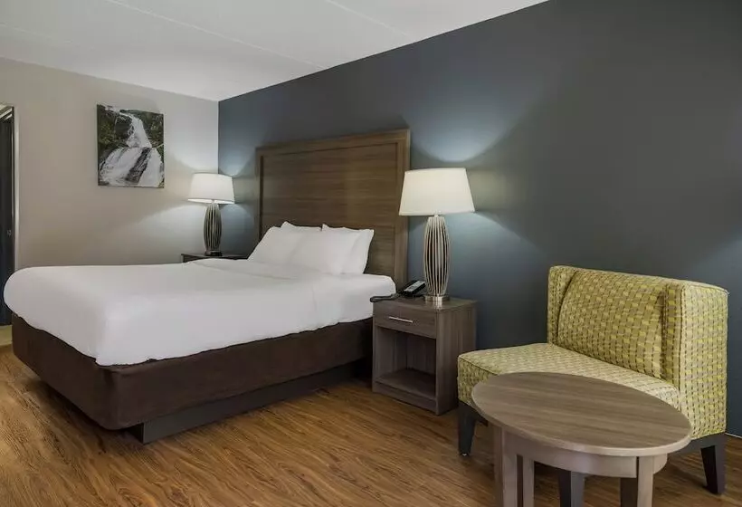 酒店 Quality Inn Asheville Airport