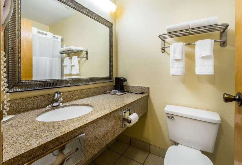 ホテル Quality Inn West Of Asheville