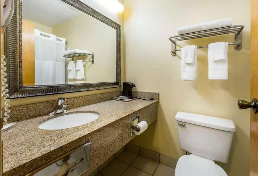 酒店 Quality Inn West Of Asheville