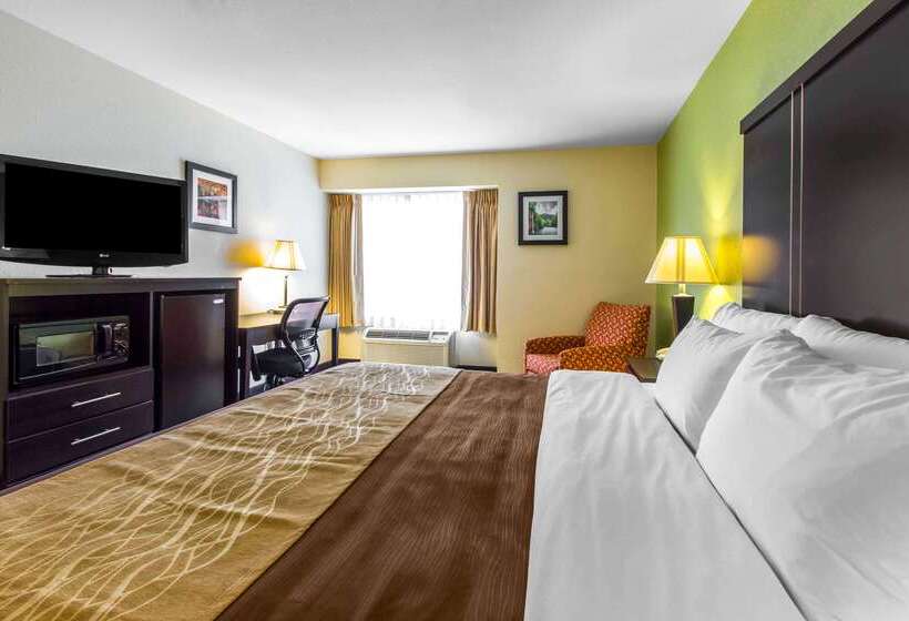 ホテル Quality Inn West Of Asheville