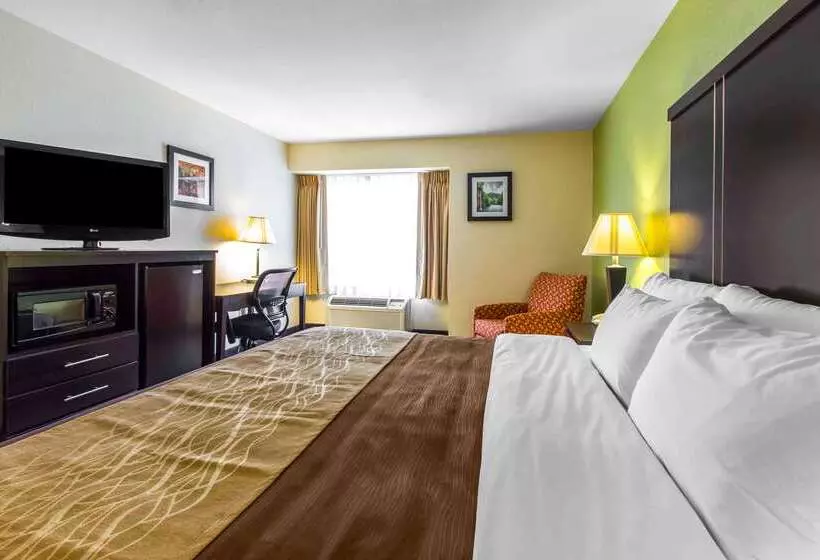 酒店 Quality Inn West Of Asheville