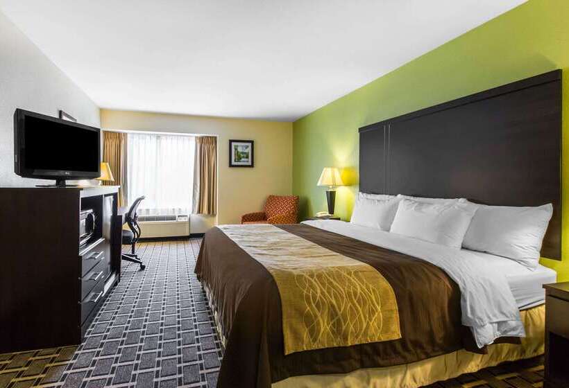 ホテル Quality Inn West Of Asheville