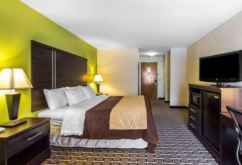 ホテル Quality Inn West Of Asheville