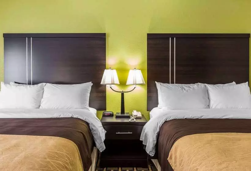 酒店 Quality Inn West Of Asheville