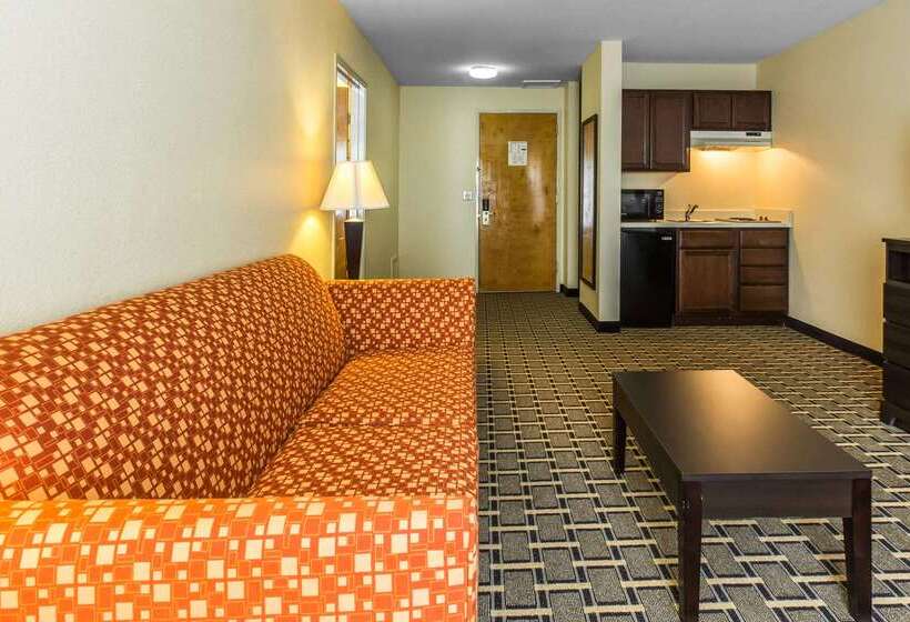 ホテル Quality Inn West Of Asheville
