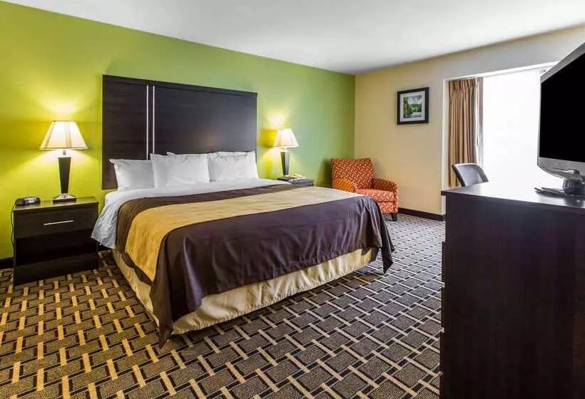 酒店 Quality Inn West Of Asheville