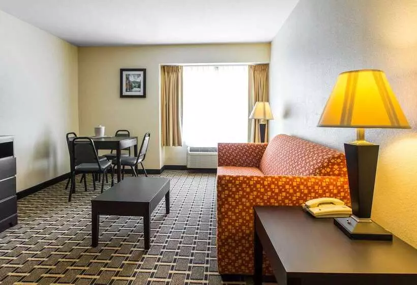 酒店 Quality Inn West Of Asheville