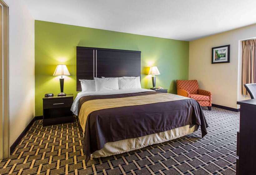 ホテル Quality Inn West Of Asheville