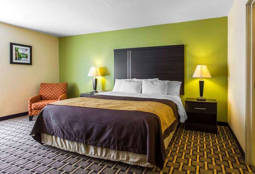 ホテル Quality Inn West Of Asheville