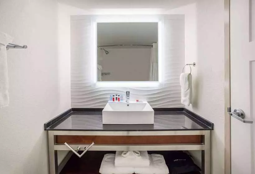 בית מלון כפרי Ramada By Wyndham Austin South