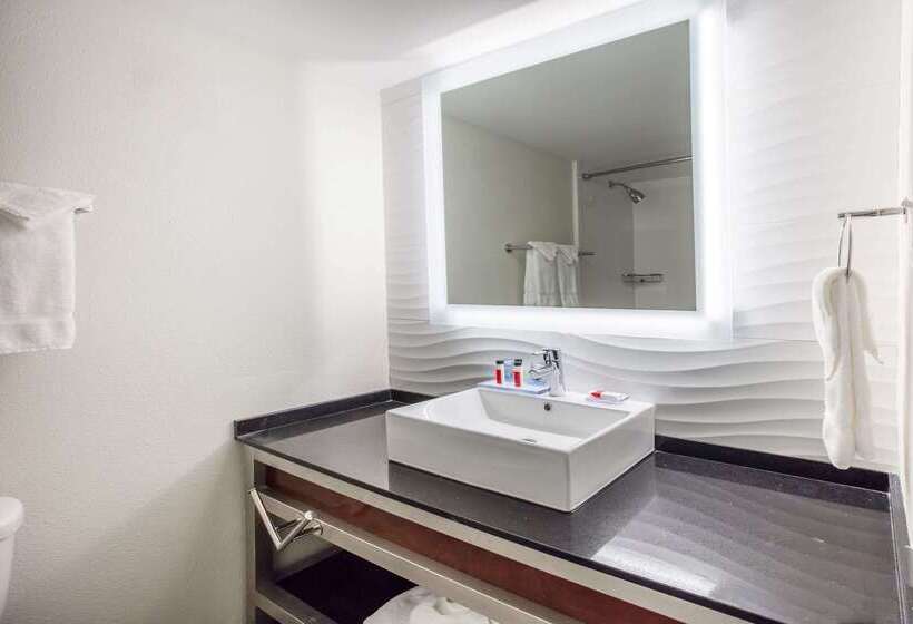 هتل Ramada By Wyndham Austin South