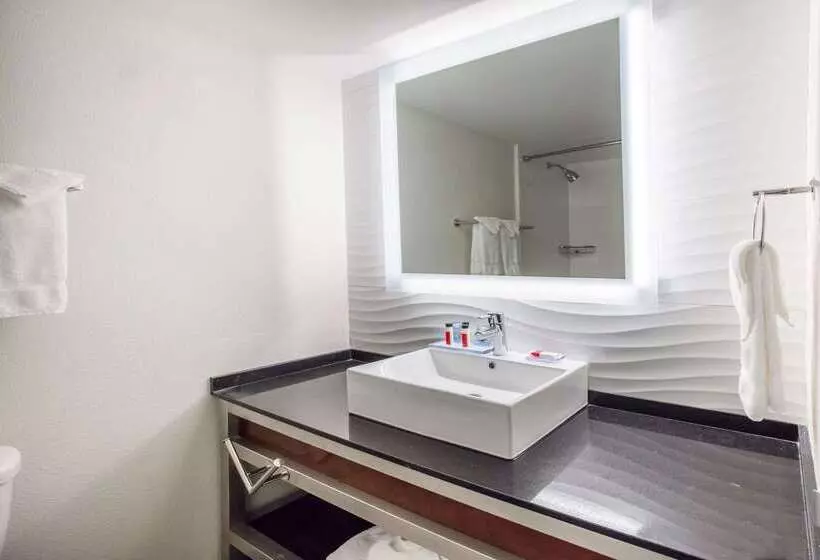 בית מלון כפרי Ramada By Wyndham Austin South