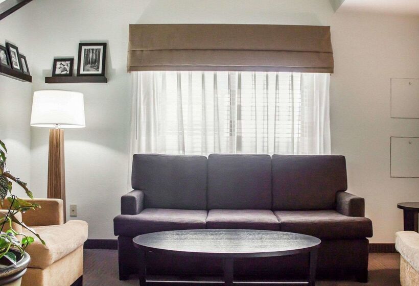 فندق Rodeway Inn Airport