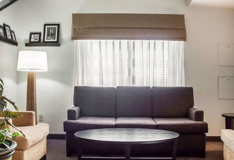 Отель Rodeway Inn Airport